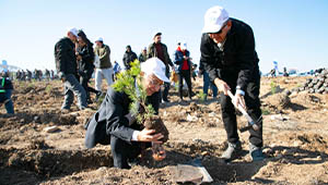 “Millî Ağaçlandırma Günü” nde Eskişehir Teknik Üniversitesi  Fidanları Toprakla Buluşturdu